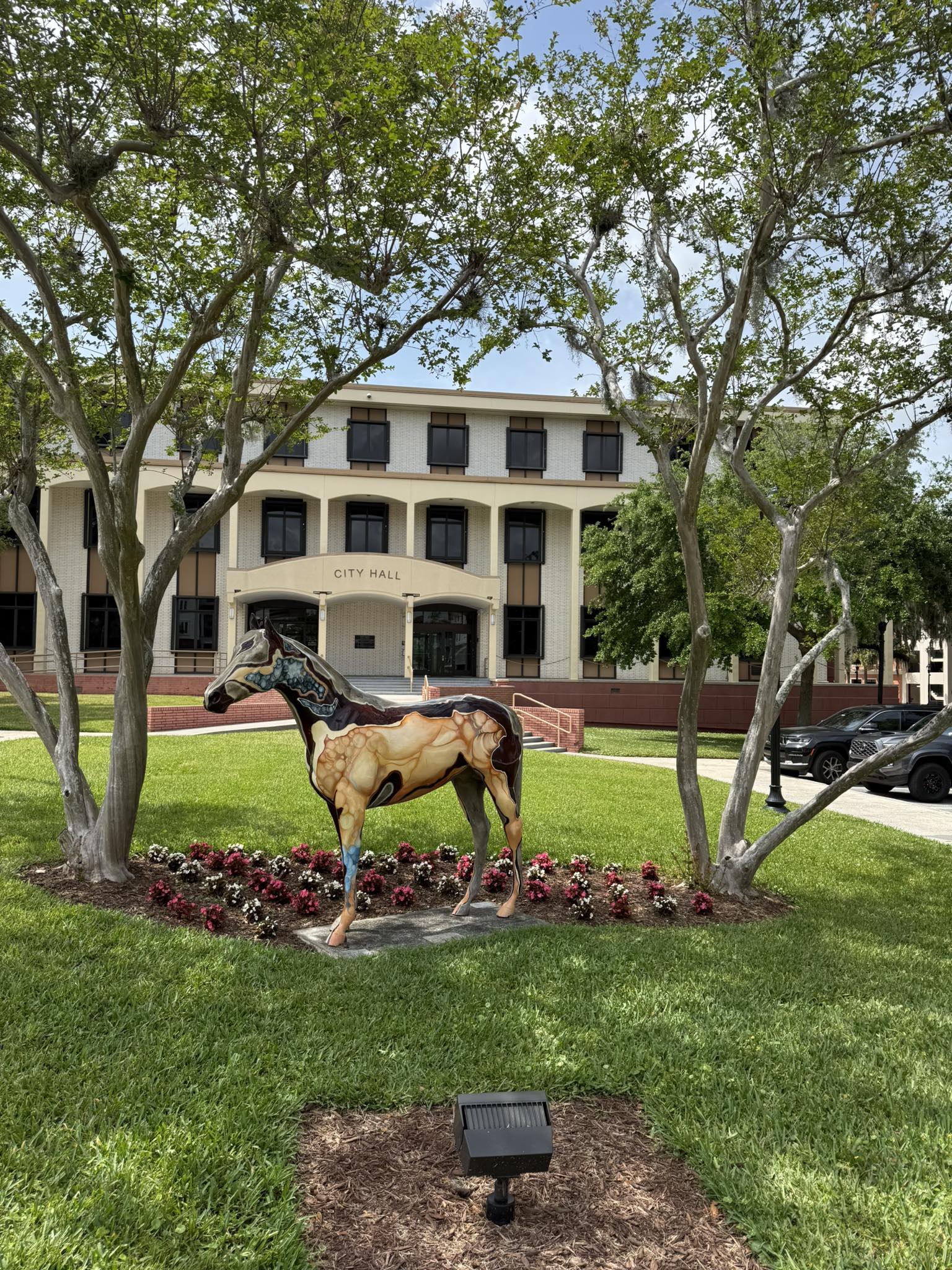 Aggie by Carlynne Hershberger