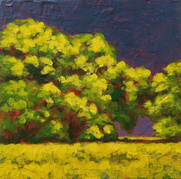 Click here to view #5 After the Storm by Carlynne Hershberger