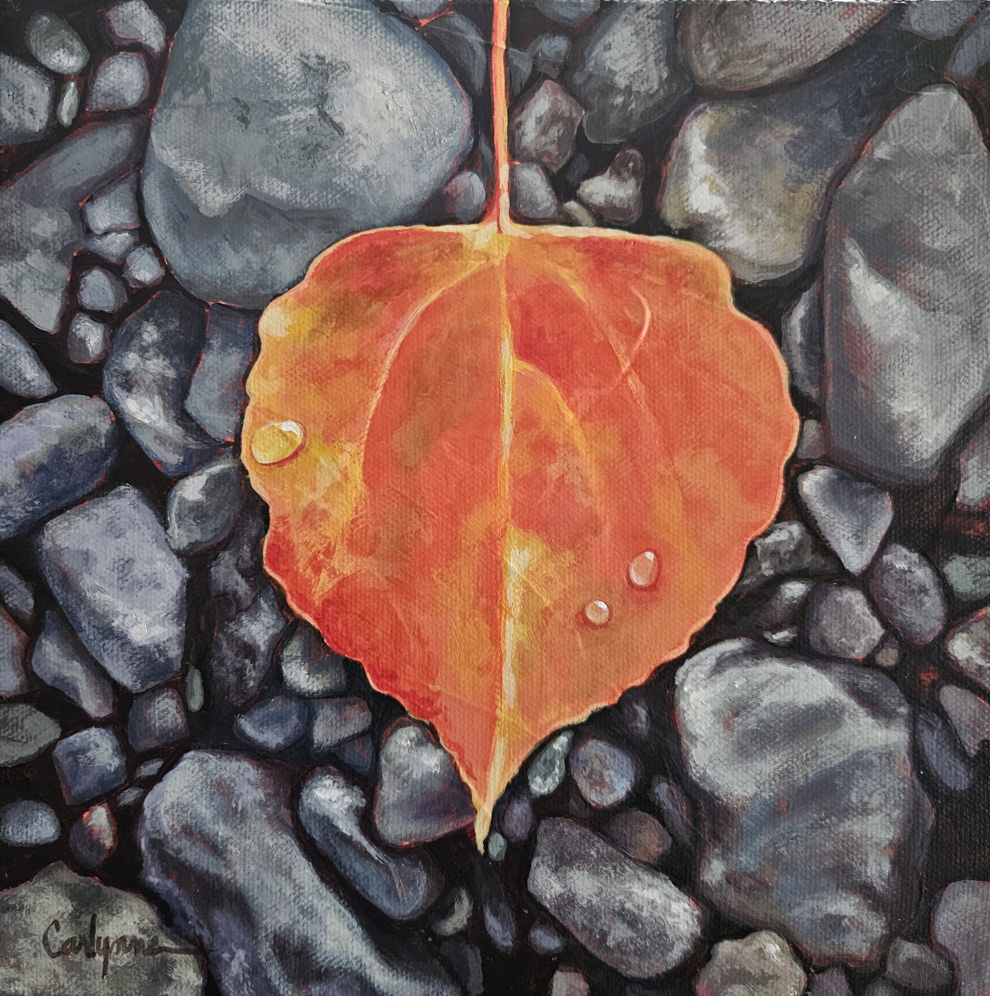 Click here to view Fall by Carlynne Hershberger