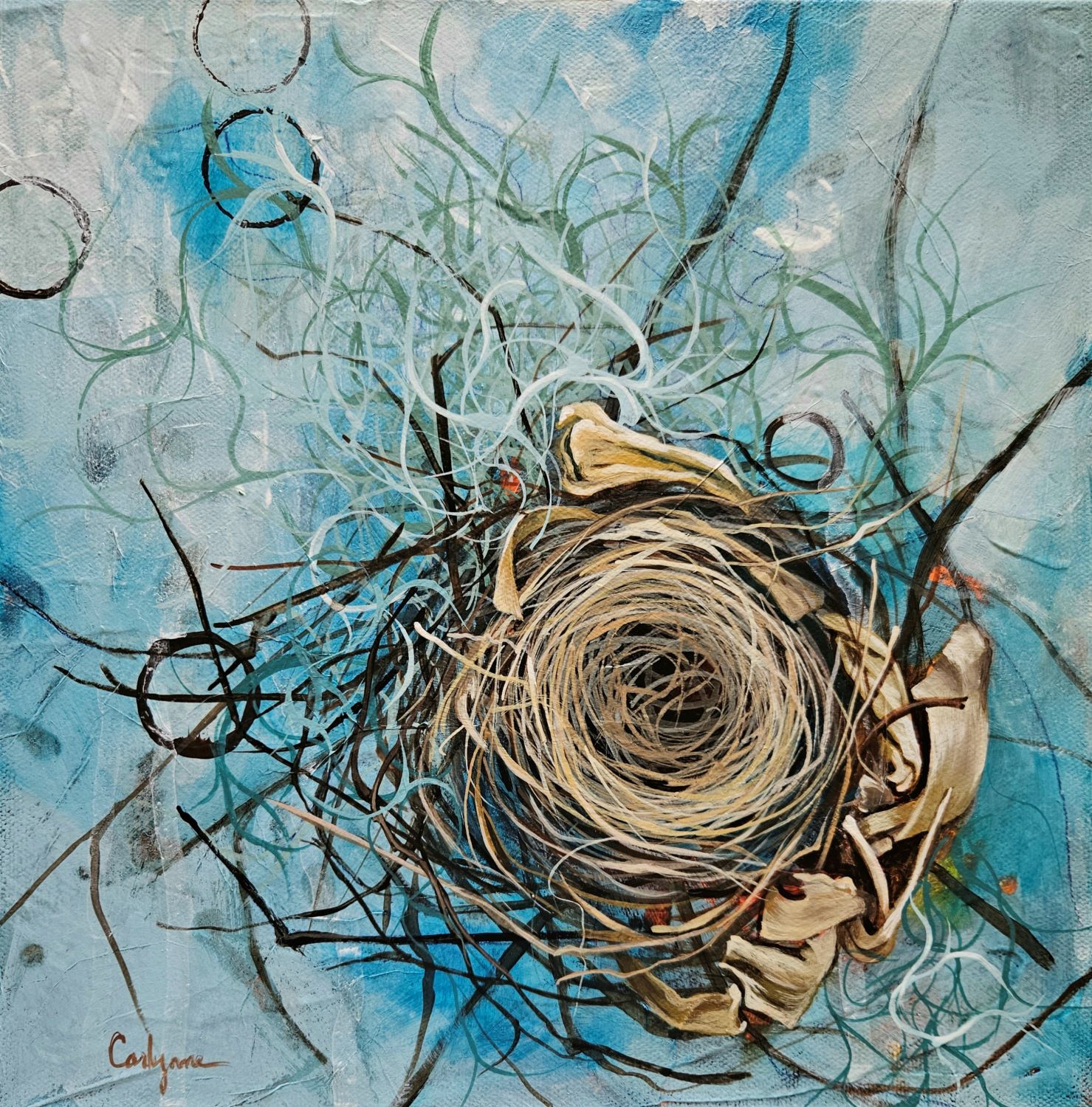 Click here to view Cardinal Zen by Carlynne Hershberger