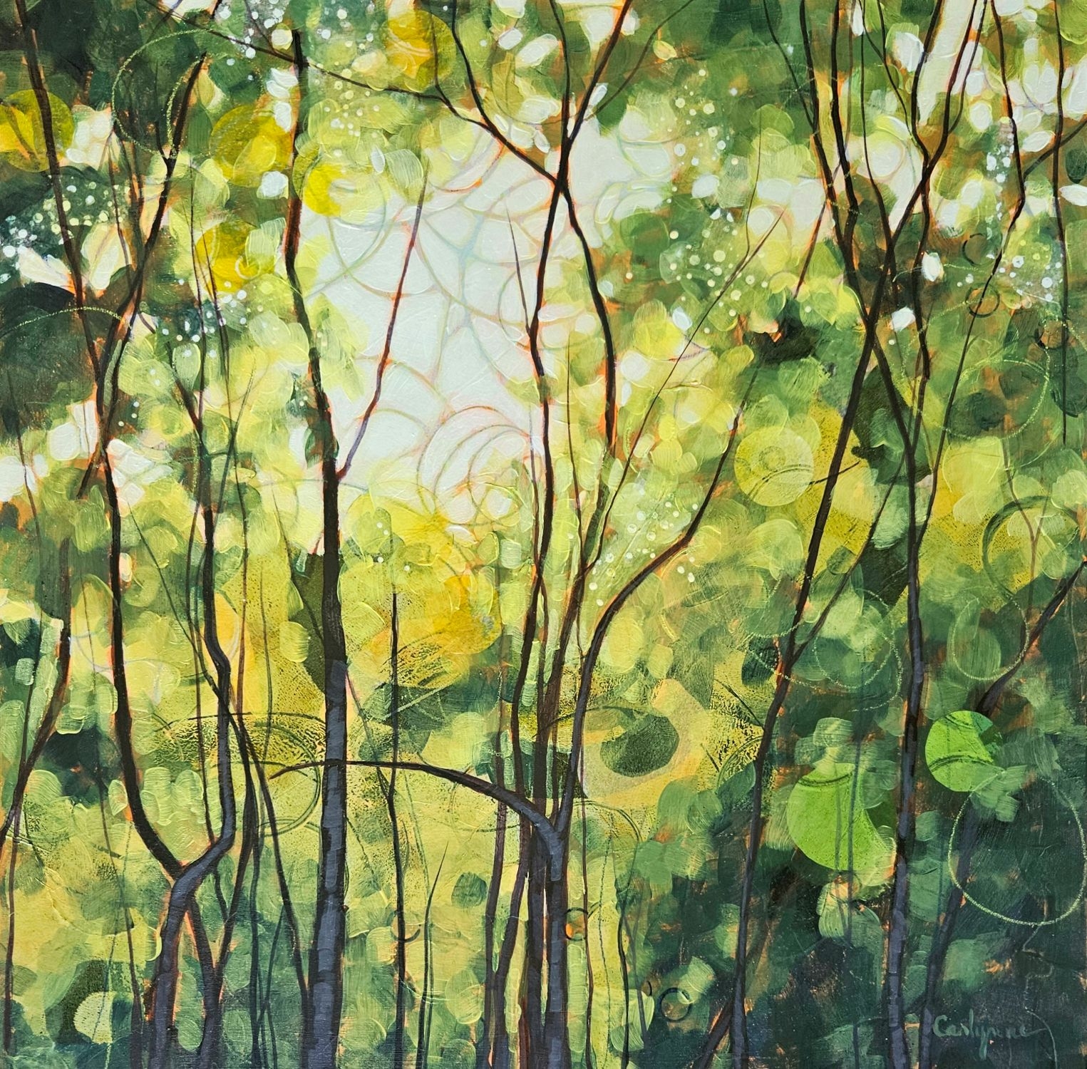 Click here to view Essence 1 My Backyard by Carlynne Hershberger